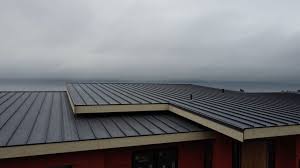 Best Rubber Roofing (EPDM, TPO)  in Park Center, CO